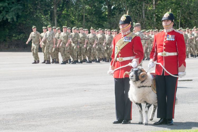 Lance Corporal Derby Dies