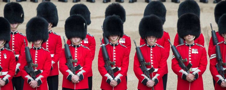 Household Division Performs Major General's Review