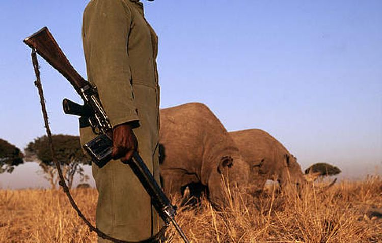 Prince Harry On The Front Line In War Against Poachers