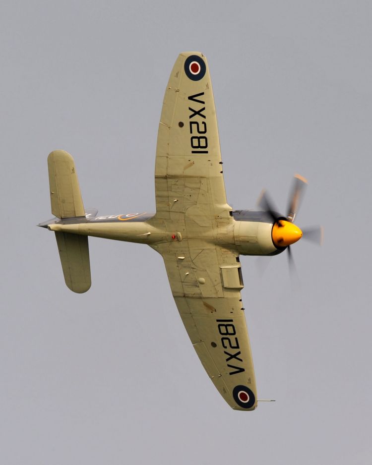Once Stricken Sea Fury Set To Be Back In Service 