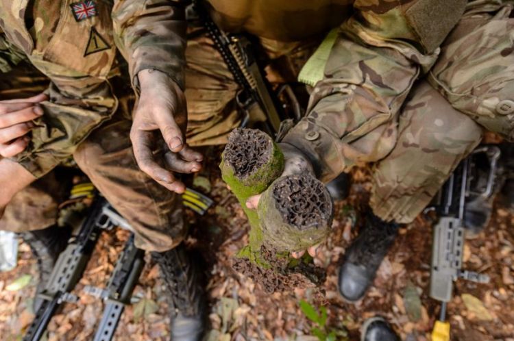 The British Army Abroad In Brunei: A Photo Diary