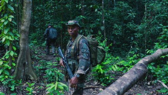 The FFL hunt for gold mining gangs in French Guiana