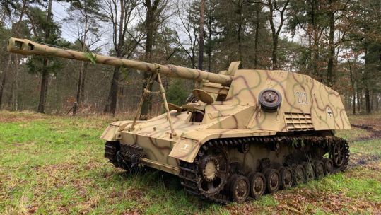 This particular Nashorn, nicknamed Phoenix, is one of only three surviving examples in the world
