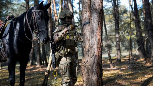 Soldier from HCMR bonding with his horse in a woodblock while taking a rest during mounted combat training ex