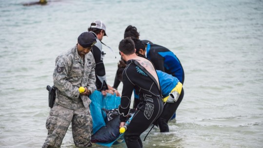 Kadena Airman Save Dwarf Sperm Whale