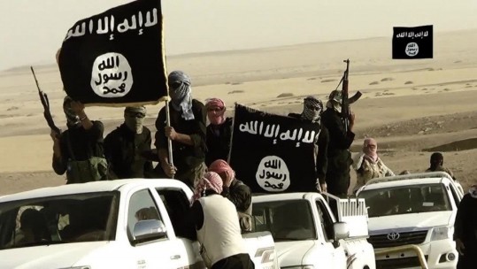 NATO Chiefs Recommend Joining Anti-Islamic State Coalition