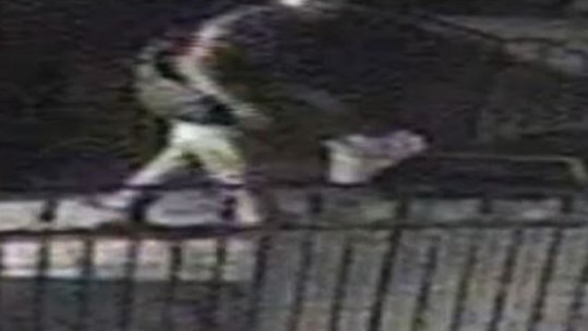 'Soldier' burglar police handout photo