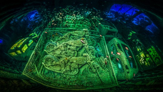 Underwater Photograph of the Year