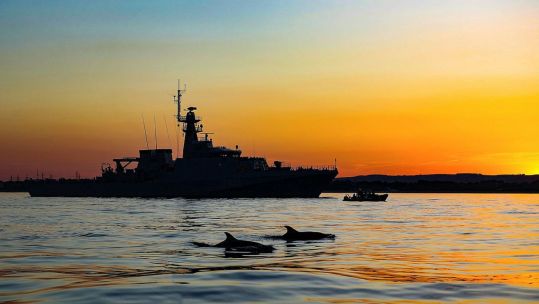 HMS Tamar with dolpins in the foreground