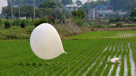 2XB1FN1 N. Korea's balloon provocation One of the hundreds of trash-filled balloons flown by North Korea overnight is found in a rice paddy in the northwestern border county of Ganghwan 140624 CREDIT Alamy