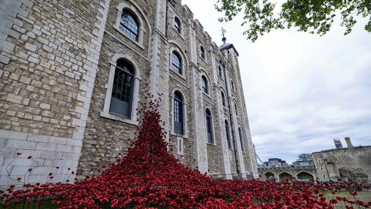  30,000 ceramic poppies are on show at the Tower of London for the 80th anniversary of VE da