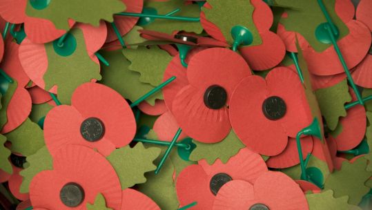 Paper Poppies. 	Crown Copyright Mike Weston ABIPP  
