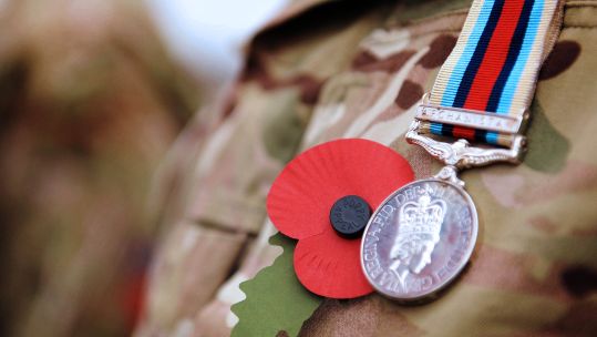 Wearing poppy (Picture: MoD).