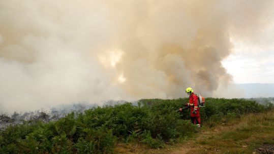 Wildfire in South Wales (Picture: Wildfires in South Wales cred South Wales Fire and Rescue Service)