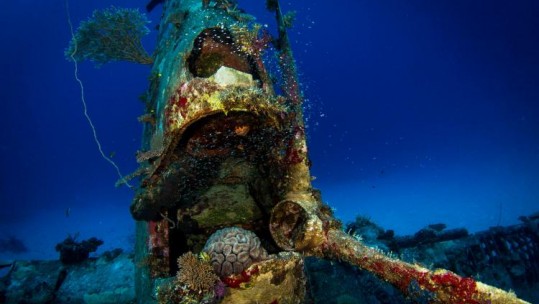 Eerie Underwater Graveyard Discovered In The Deep
