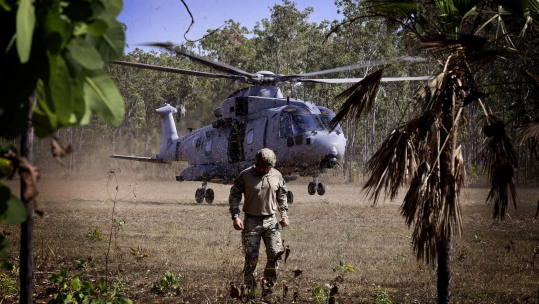 A Merlin Mk4 whips up the grass in a clearing 281024 CREDIT Royal Navy (1)