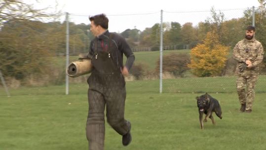 A dog training with the Defence Animal Training Regiment