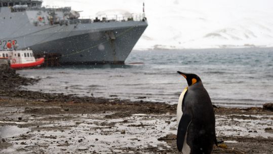 Cover image: HMS Forth passes a penguin in South Georgia (Picture: Royal Navy).