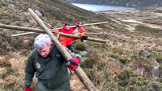 A team from the Royal Military Academy Sandhurst helps carry wood up a mountain for restorative work on Balmoral Estate (Picture: Balmoral Castle & Estate X).