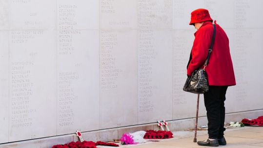 A woman views the names of fallen soldiers on the Armed Forces Memorial after the Armistice Day Service of Remembrance at the National Memorial Arboretum (Picture: PA Wire).