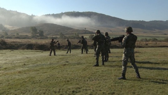 Exercise Albanian Lion