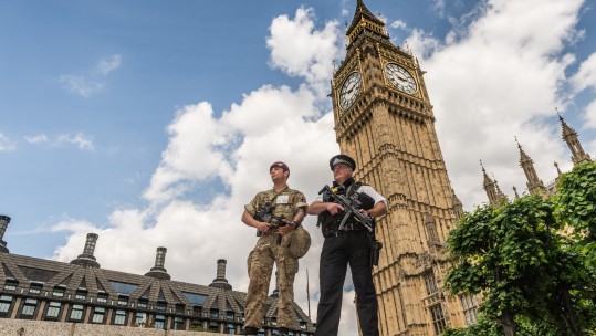 Military and Police Working Together