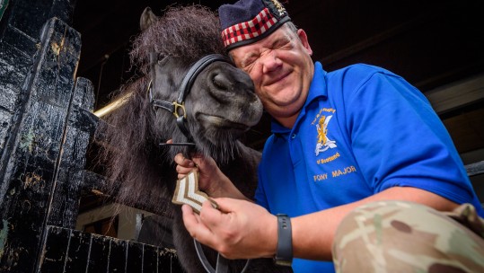 Regimental Pony Who Tried To Eat The Queen's Flowers Promoted