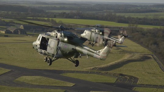 Lynx Farewell