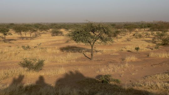 Africa's Sahel region where French troops in Mali are fighing Islamic extremism (Picture: PA).