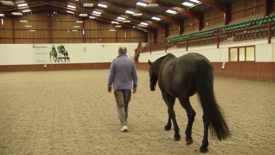 Alan Walker during a stroll with a horse 250319 CREDIT BFBS.jpg 