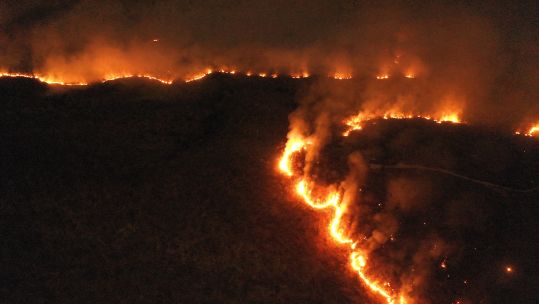 A raging fire in the Amazon rainforest in the state of Tocantins, Brazil (Picture: PA images).