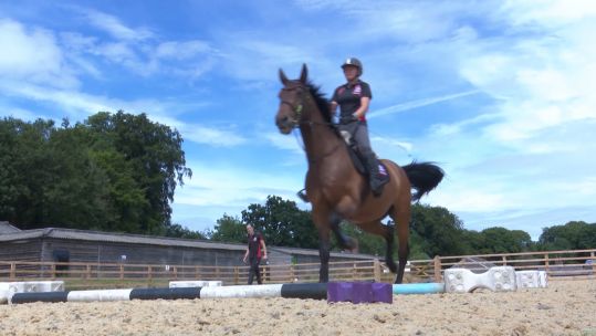 Army Horses Credit BFBS 20072020.jpg