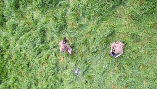 Army drone operators Salisbury Plain 140923 CREDIT BFBS
