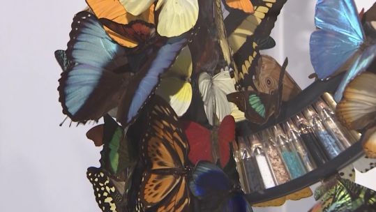 Artwork featured in Special Forces veteran Bran Symondson's The Art to Disarm exhibition.
