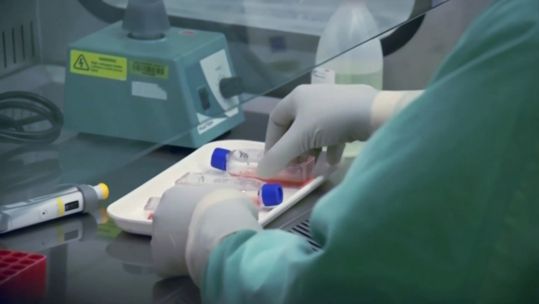 Australian scientists say they have developed a lab version of the coronavirus.