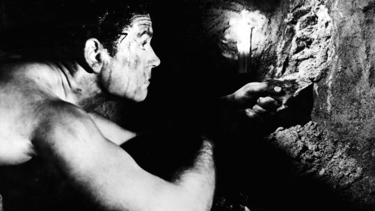 Anthony Steel in The Wooden Horse, 1950 (Picture: Alamy)