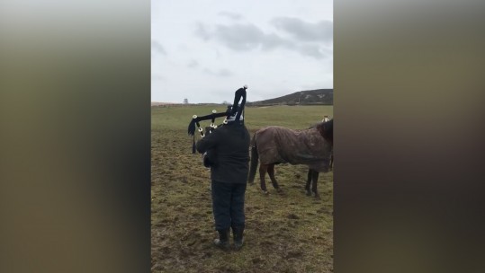 Bagpipe Whisperer