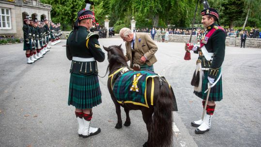 Balaklava Company 5 SCOTS and mascot Corporal Cruachan IV officially welcome His Majesty The King to Balmoral Castle 21 Aug 2023 CREDIT @ArmyInScotland Twitter