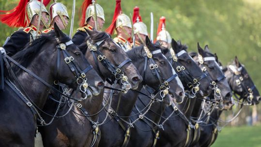 The Major General's Inspection is one of the most significant dates in the regiment's calendar (Picture: MOD)