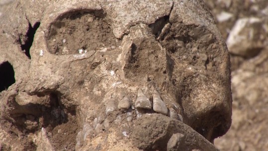 Saxon Burial Site And WW1 Artefacts Found On Salisbury Plain 