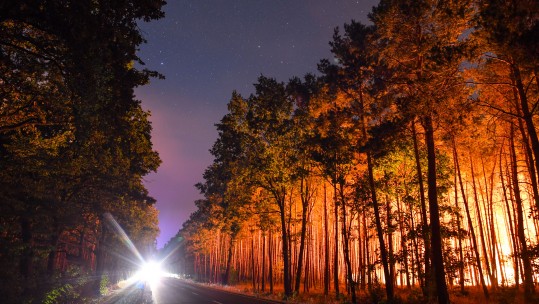 Fire in Brandenburg, Klausdorf in Germany