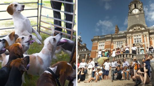 Britannia Royal Naval College and its beagles opened its doors to the public Credit BFBS 290719