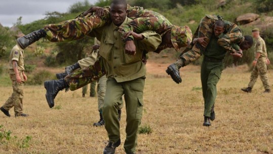 Welsh Cavalry To Deploy To Sierra Leone
