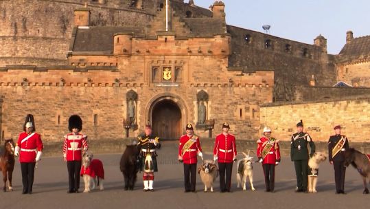 British Army mascots pose for special Jubilee photograph.