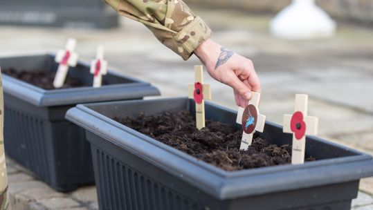 British Army soldier planting a poppy cross 