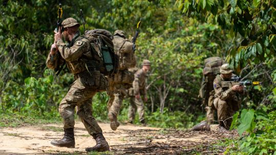 Exercise Panther Gold