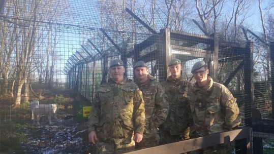 Ex Wolf's Challenge Tests Reservists Initiative