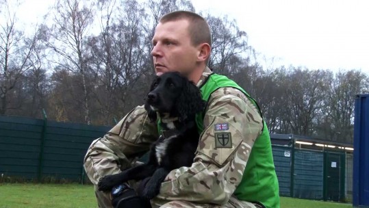 Military Dogs &amp; Their Handlers Show Off Unique Bond
