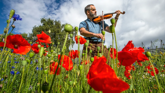WW1 poets honoured with violins