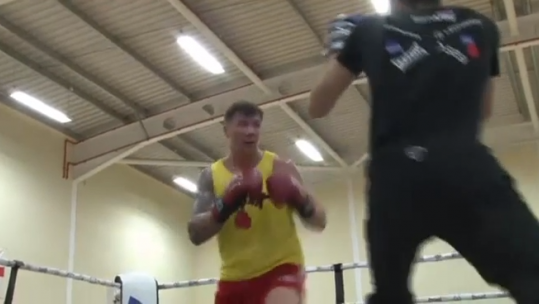 Boxer Chez Nihell